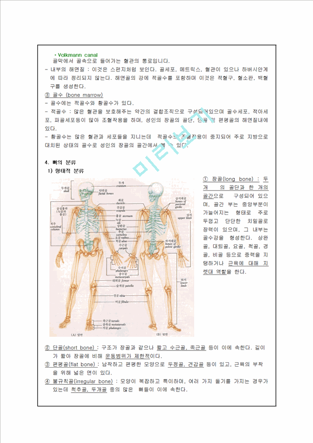 골격계의 구조 및 이론.hwp