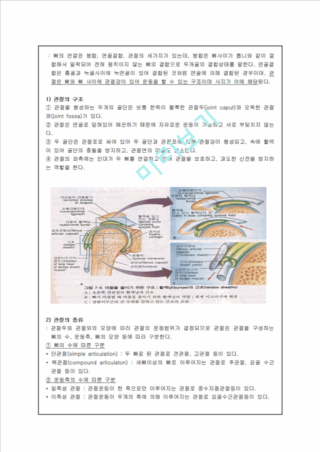 골격계의 구조 및 이론.hwp