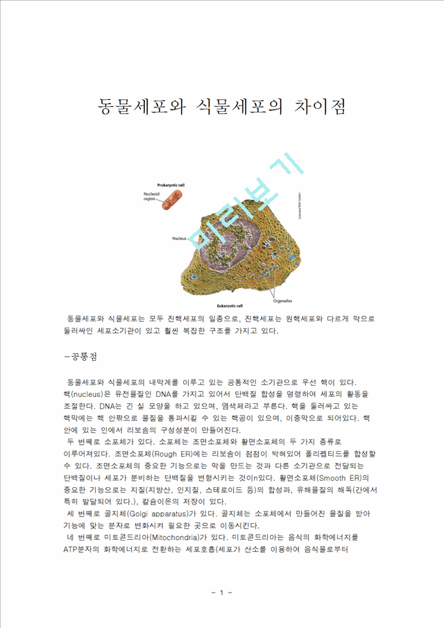 동물세포와 식물세포의 차이점 등록 번째로 골지체 Golgi Apparatus 가 있다 Dna는 Ironman Solution Ironman Solution