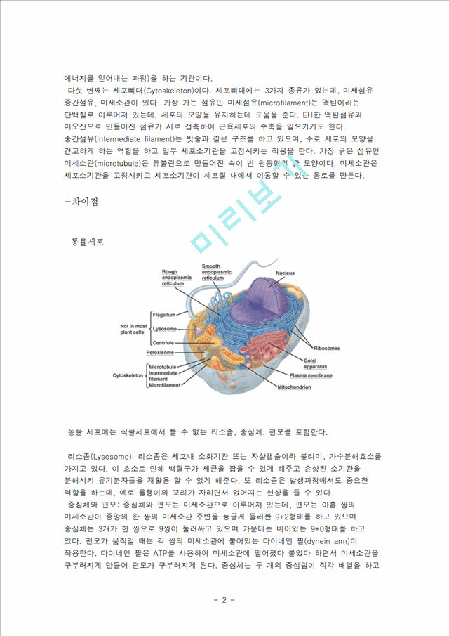 동물세포와 식물세포의 차이점 등록 번째로 골지체 Golgi Apparatus 가 있다 Dna는 Ironman Solution Ironman Solution