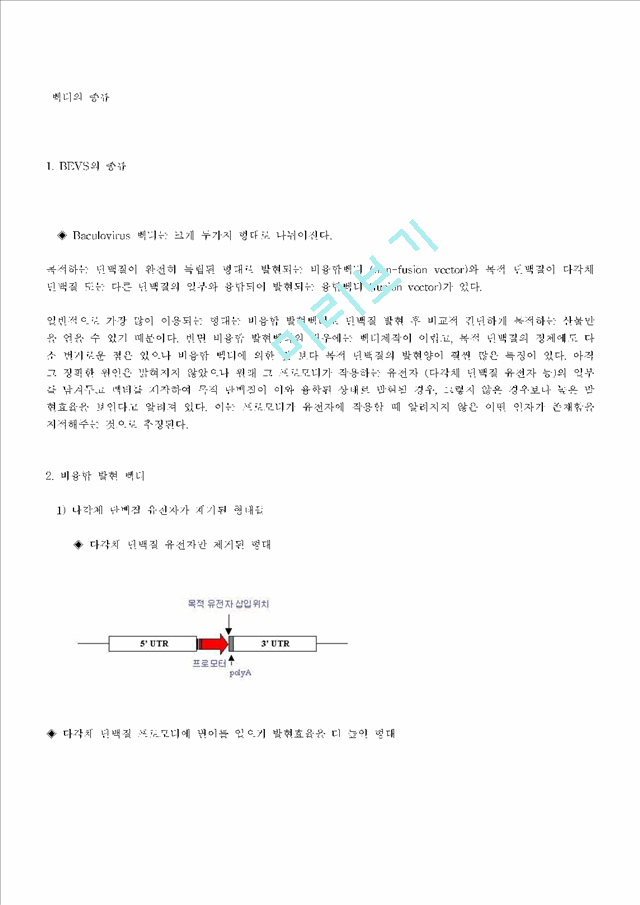 벡터의 종류.hwp