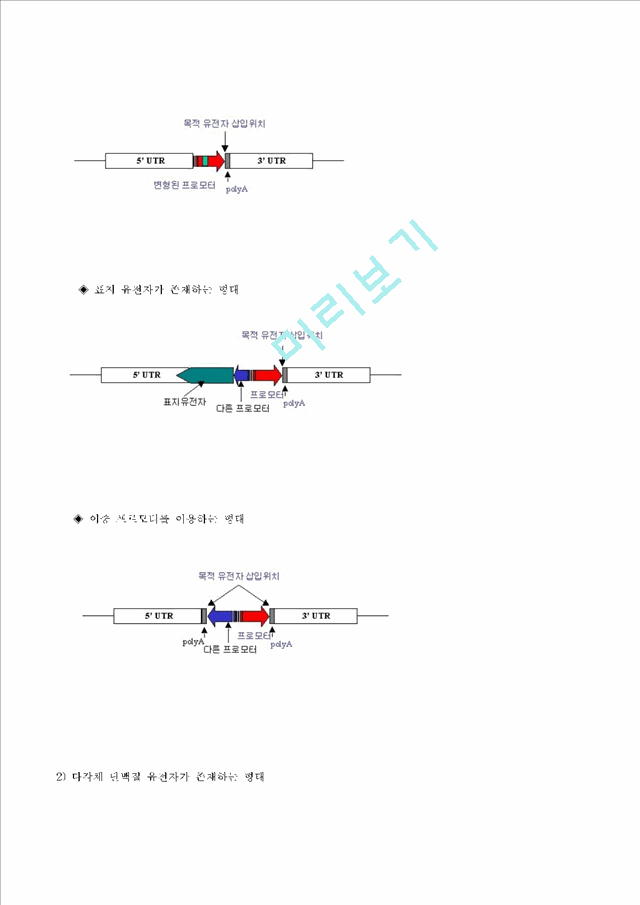 벡터의 종류.hwp