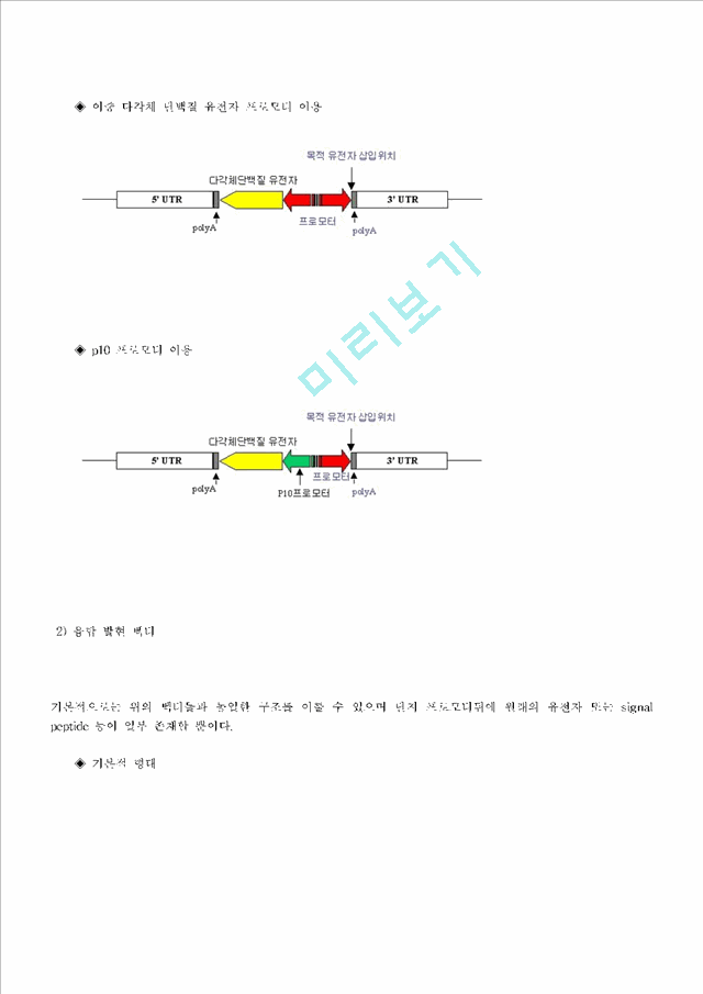 벡터의 종류.hwp