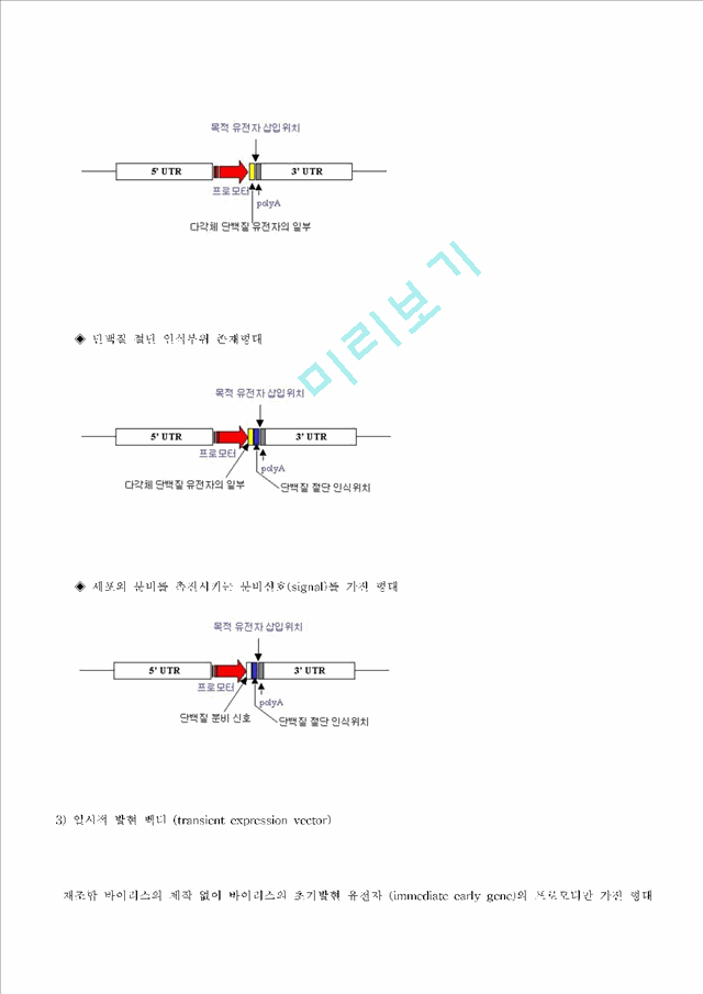 벡터의 종류.hwp