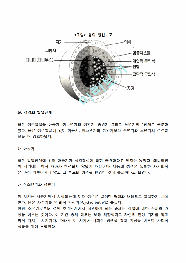 분석심리학의 주요개념.hwp