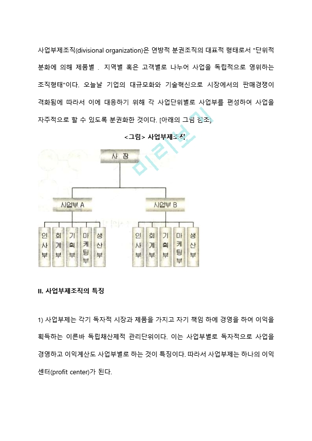 사업부제조직의 의의와 특징, 사업부제의 장단점.hwp