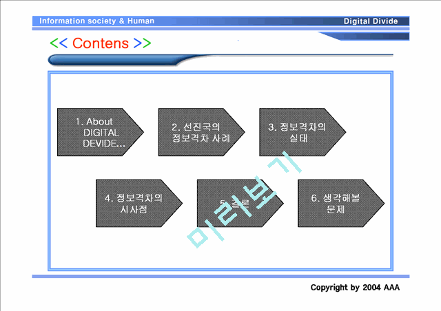 선진국의 정보 격차의 원인과 문제점.ppt