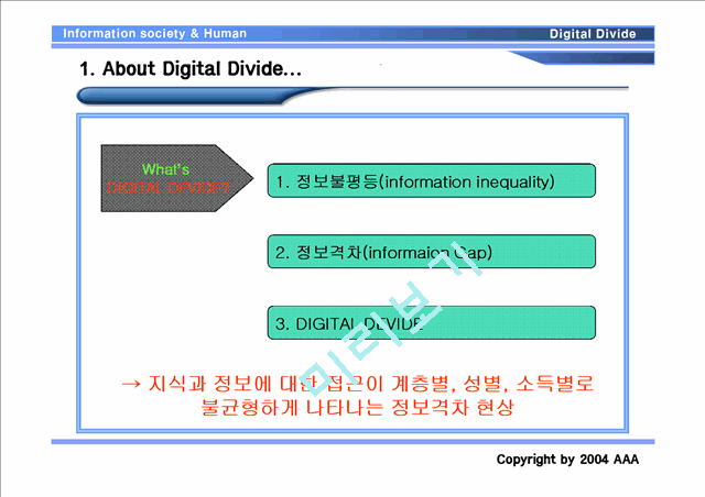 선진국의 정보 격차의 원인과 문제점.ppt