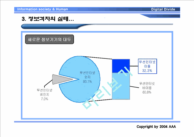 선진국의 정보 격차의 원인과 문제점.ppt