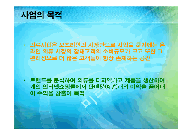 의류사업계획서.ppt