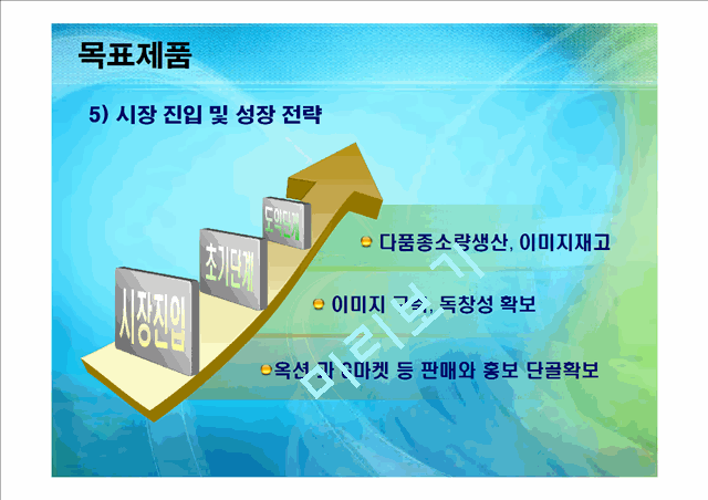 의류사업계획서.ppt