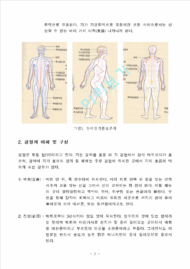 인체 경락, 경혈의 이해 -경락마사지를 중심으로-.hwp