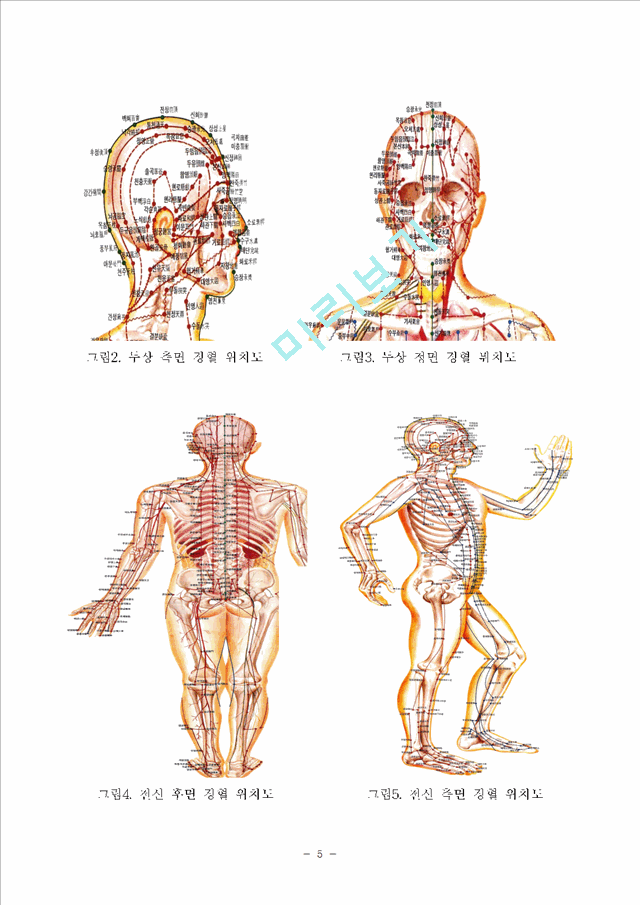 인체 경락, 경혈의 이해 -경락마사지를 중심으로-.hwp