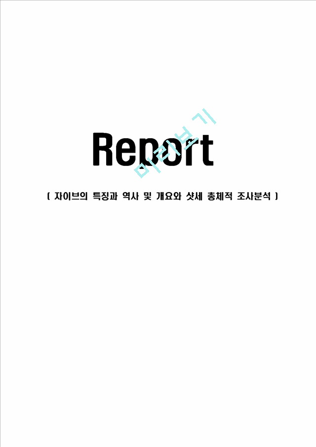 자이브의 특징과 역사 및 개요와 샷세 총체적 조사분석.hwp