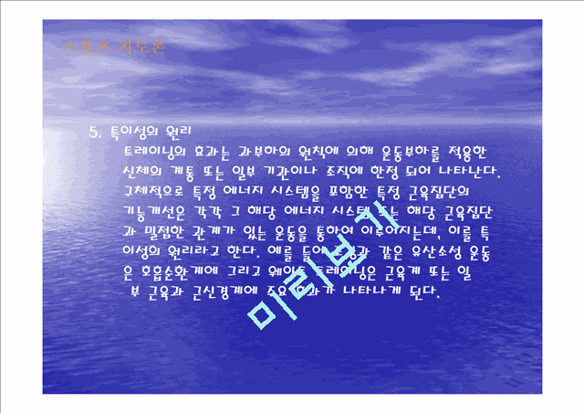 트레이닝의 원리와 개념, 효과.ppt