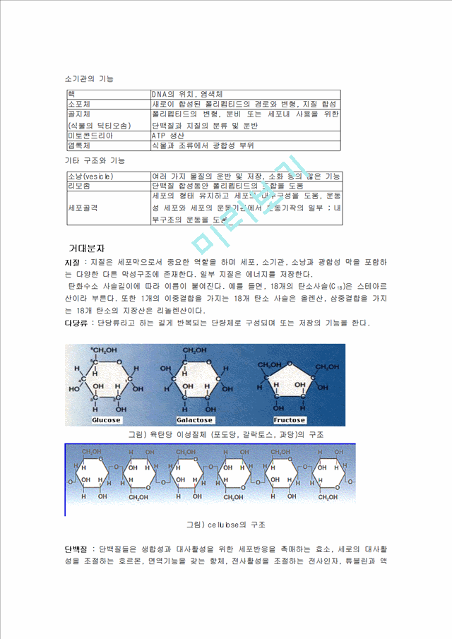 DNA에서 단백질까지.hwp