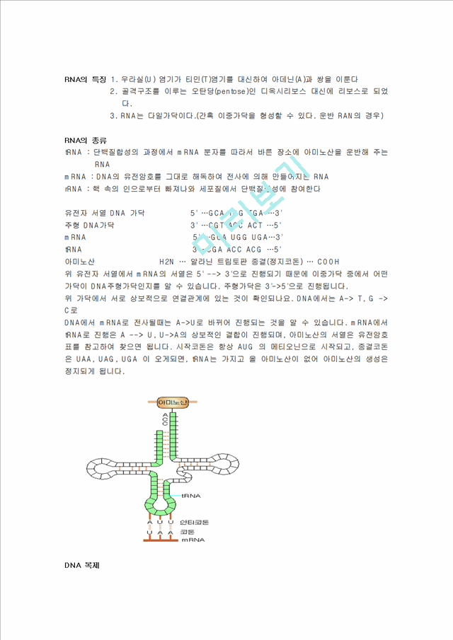 DNA에서 단백질까지.hwp