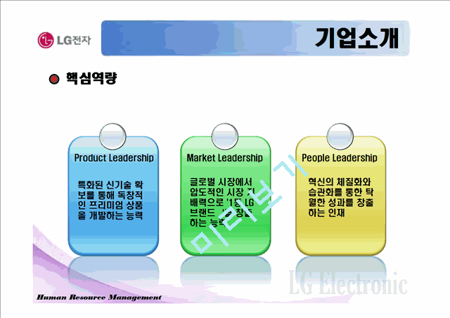 LG기업 HRM 사례 조사.ppt