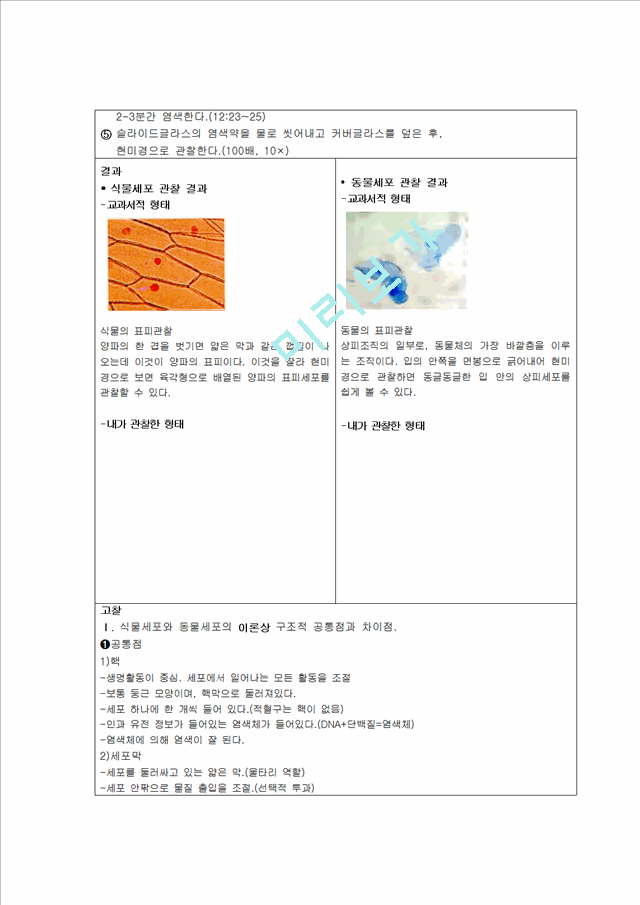 의학 약학 식물세포와 동물세포 현미경 관찰 Hit2 Hit Kr Report Report