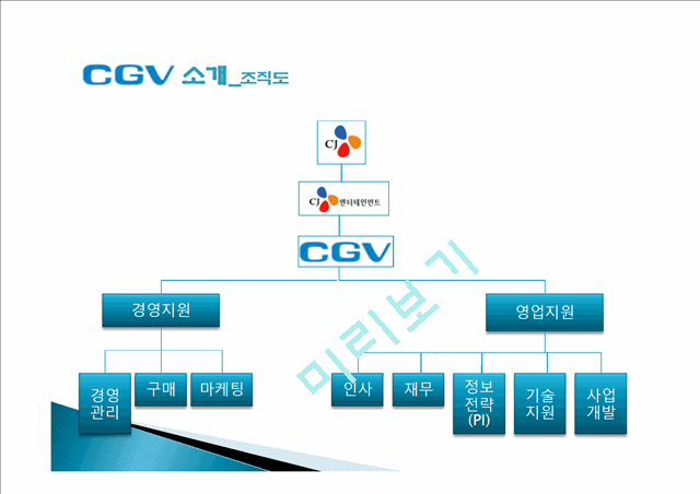 CGV기업분석,CGV마케팅경영,마케팅,브랜드,브랜드마케팅,기업,서비스마케팅,글로벌,경영,시장,사례,swot,stp,4p   (7 )