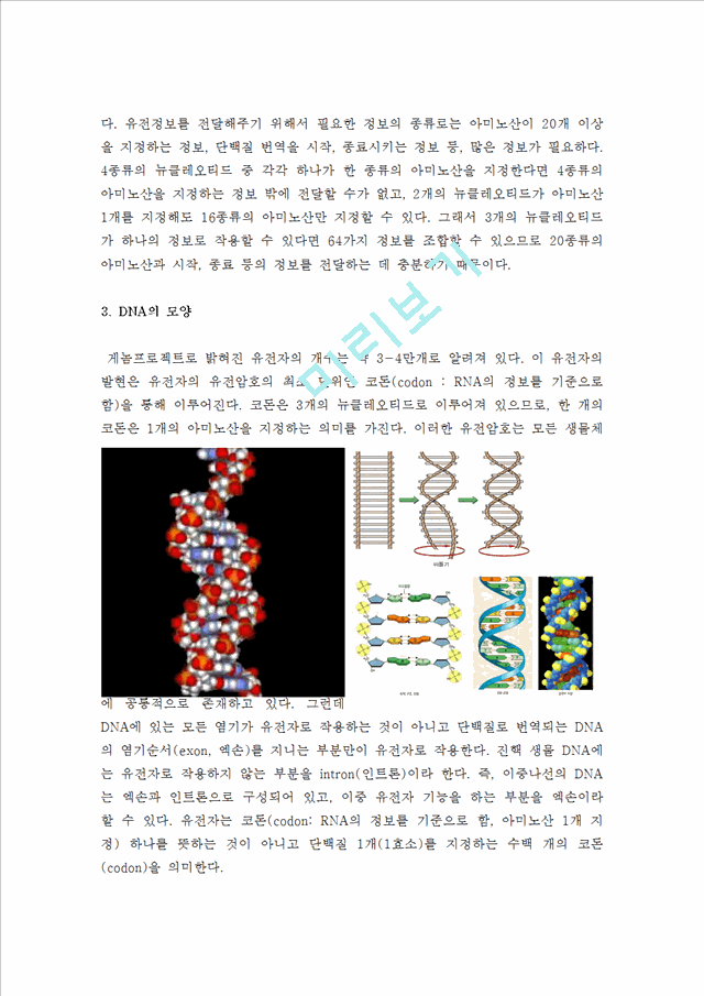 DNA   (2 )