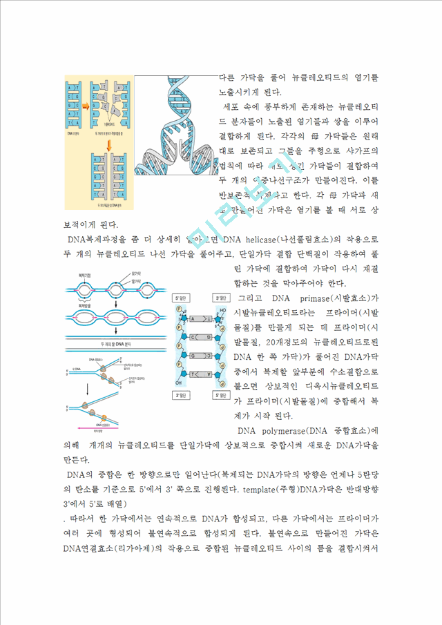 DNA   (4 )