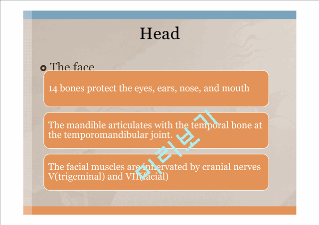 Head,ear,Nose,Throat   (5 )