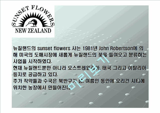 [濵] sunset flower ͳ  ⸶    (6 )