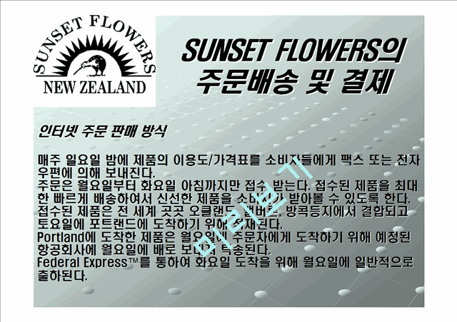 [濵] sunset flower ͳ  ⸶    (7 )