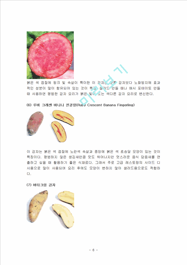 [식품학(식품영양학)] 감자의 특징과 효능 및 영양성분 (식품학)   (6 )