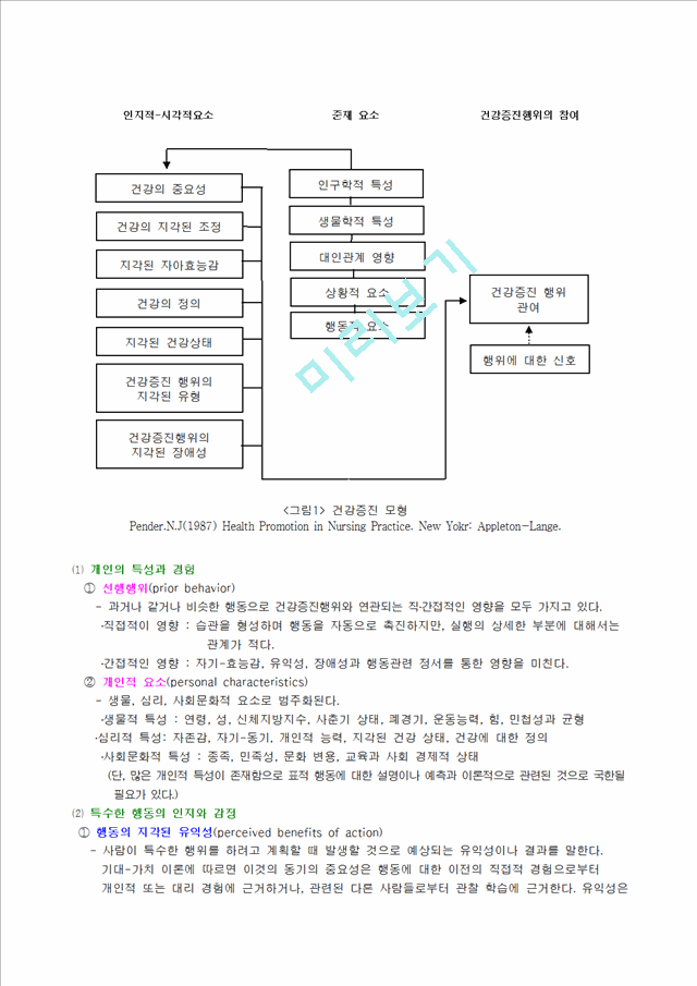 간호 이론가 Nola J. Pender.hwp