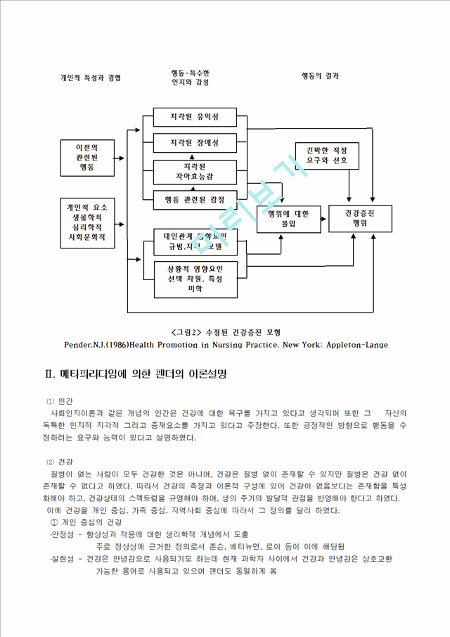 간호 이론가 Nola J. Pender.hwp