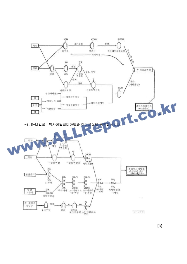 건국대학교_고분자재료과학_3.계면중합에의한Nylon6,10합성_예비.hwp