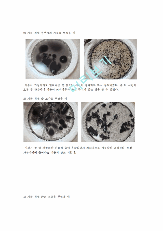 과학 자유탐구보고서.hwp