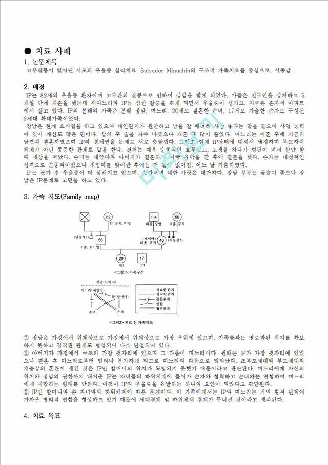 구조적 가족치료 사례연구 - 고부 갈등 (논문요약).hwp