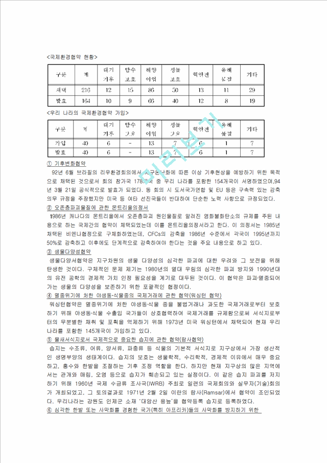 국제환경협약의 영향과 대응방안.hwp