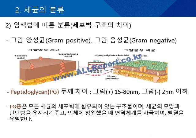 균주별 항생제 사용.pptx