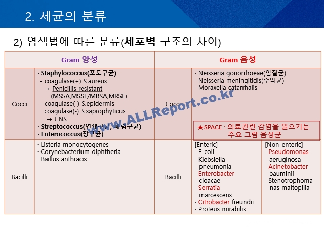 균주별 항생제 사용.pptx