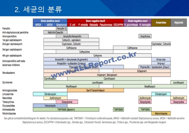 균주별 항생제 사용.pptx