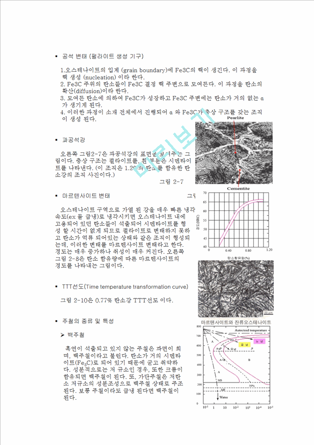 금속의 표면 조직 관찰 보고서.pptx