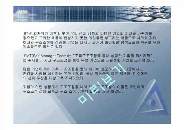 기업의 구조조정 성공사례 분석.ppt