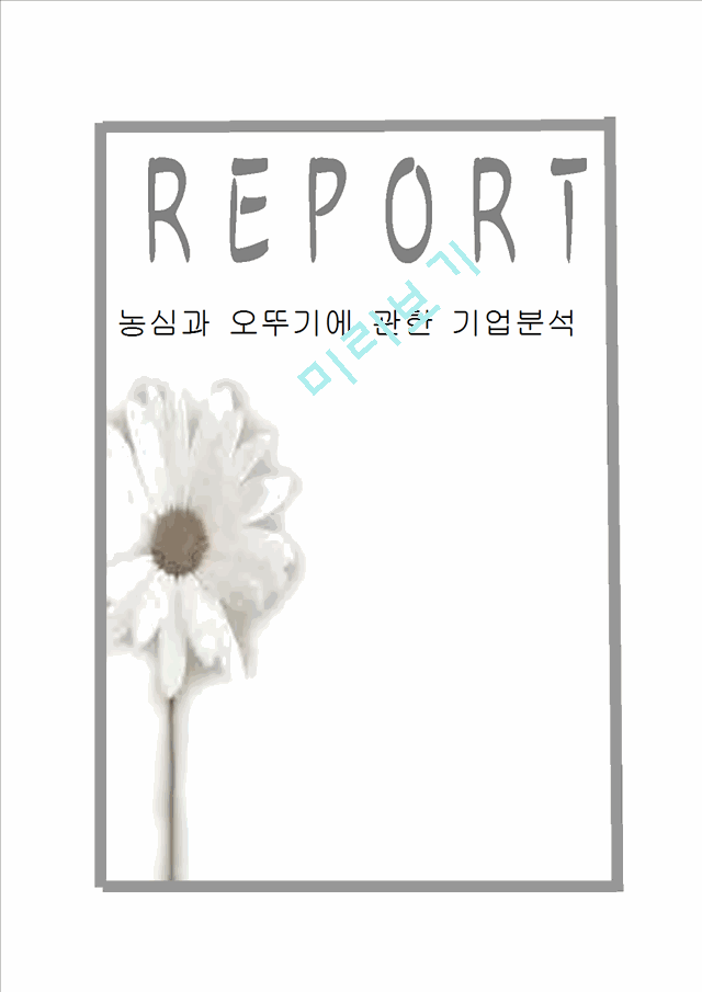 농심과오뚜기에관한기업분석,농심기업분석,농심마케팅전략,농심재무분석,오뚜기기업분석,오뚜기마케팅전략,오뚜기재무분석.hwp