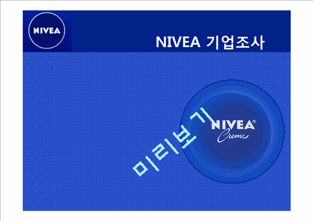 니베아 NIVEA 기업조사및 니베아 성공전략및 마케팅 STP,4P전략분석과 시사점 PPT 레포트.pptx