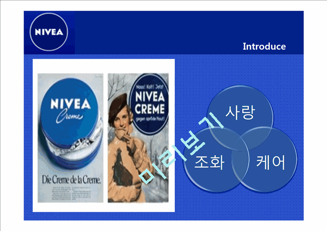 니베아 NIVEA 기업조사및 니베아 성공전략및 마케팅 STP,4P전략분석과 시사점 PPT 레포트.pptx