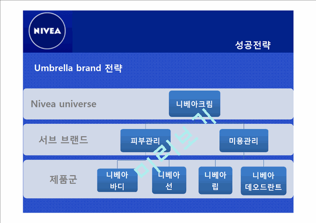 니베아 NIVEA 기업조사및 니베아 성공전략및 마케팅 STP,4P전략분석과 시사점 PPT 레포트.pptx