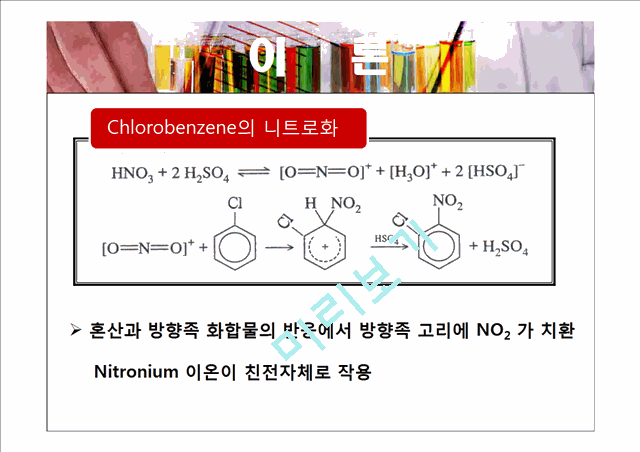 니트로화 반응 실험.pptx