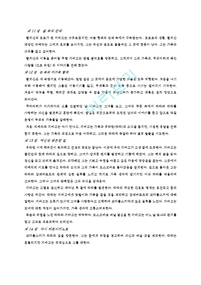 닥터 지바고 전문 요약.hwp