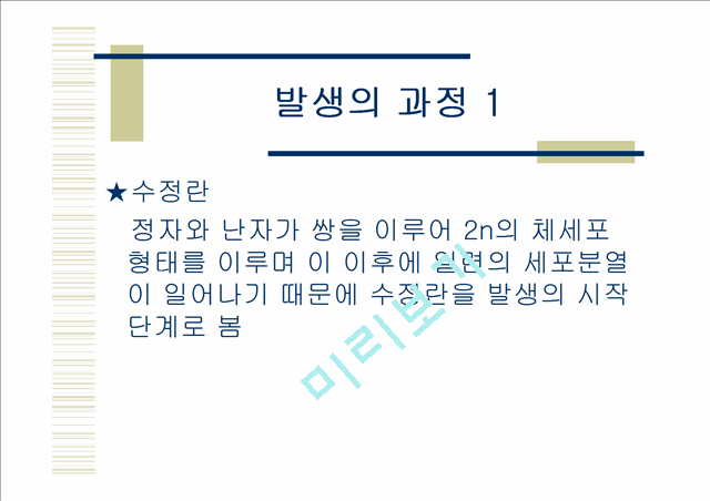 닭의발생.ppt