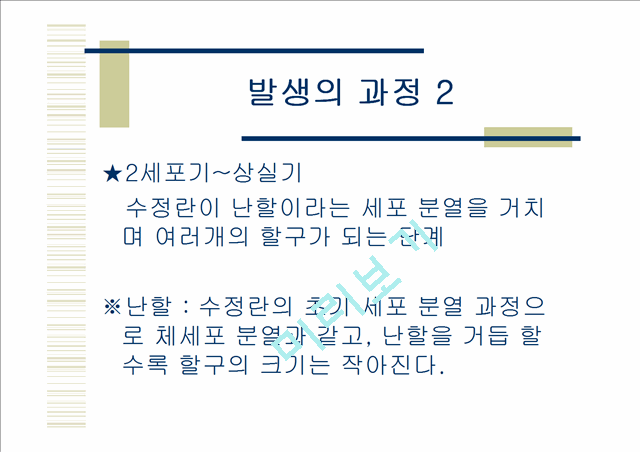 닭의발생.ppt