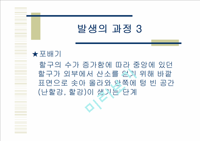 닭의발생.ppt